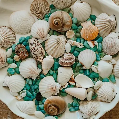 Pulicinu 4* بايا سردينيا