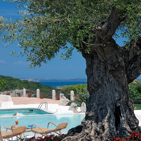 Pulicinu Baja Sardinia