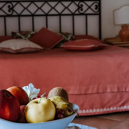 Pulicinu Baja Sardinia