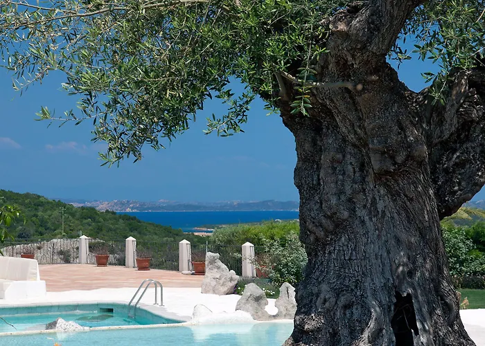 Pulicinu Baja Sardinia
